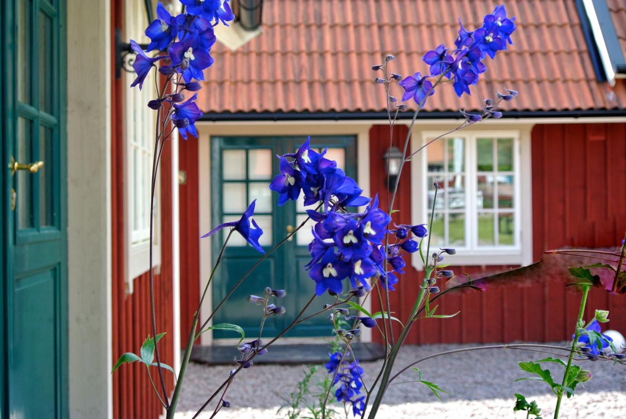 Отель Oxgarden Виммербю Экстерьер фото